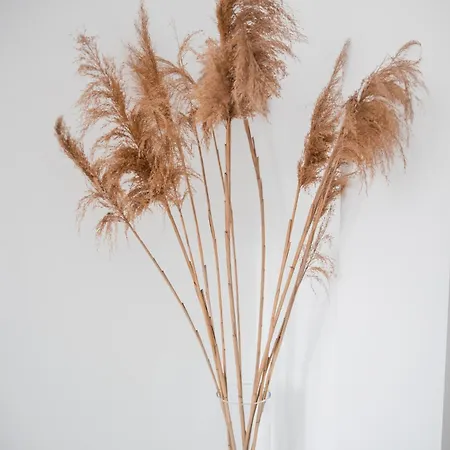 Samaras Λιμενάρια